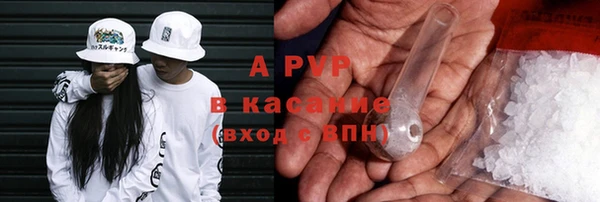 крисы Медвежьегорск