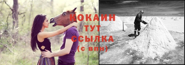 крисы Медвежьегорск