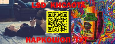 молекула духа Новозыбков