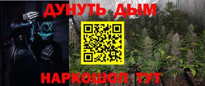 молекула духа Новозыбков