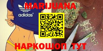 молекула духа Новозыбков