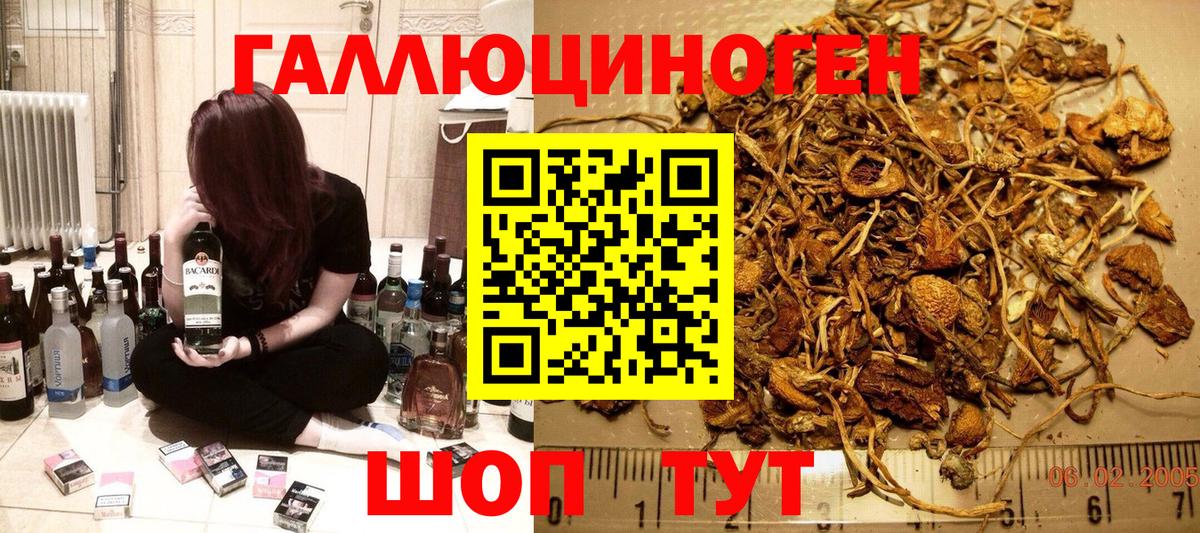 Галлюциногенные грибы MAGIC MUSHROOMS  Тында 
