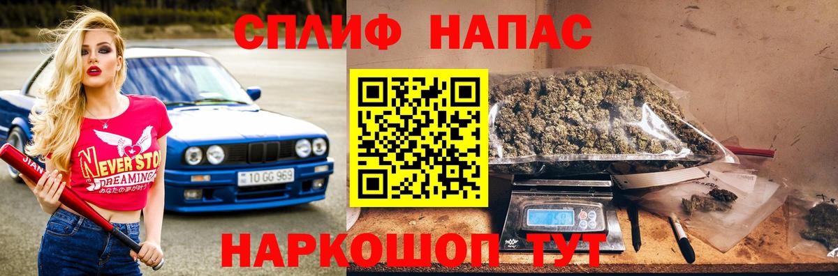 Каннабис план Тында
